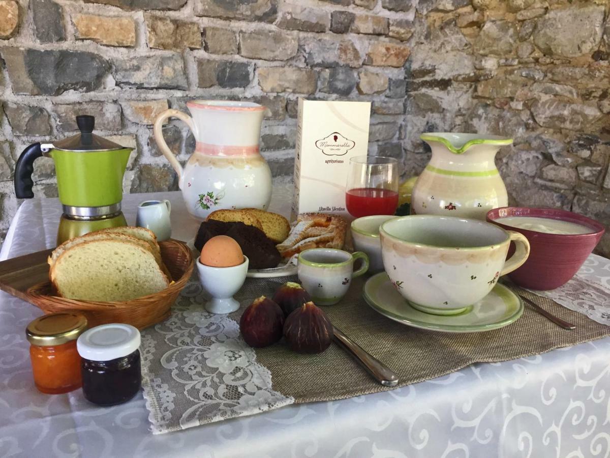 Farm stay Mammarella